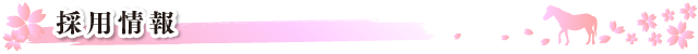 採用情報